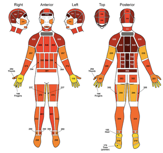Illustration for article titled You probably don't know how many holes are in your body right now